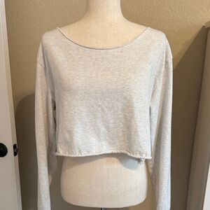 Brandy Melville Light Gray Long Sleeve Crop Top